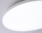 FZ2001 WH белый IP54 20W 3000K-6500K+RGB Wi-Fi Алиса/Tuya/Smart Home/Alexa D300*55 (ПДУ ИК)
