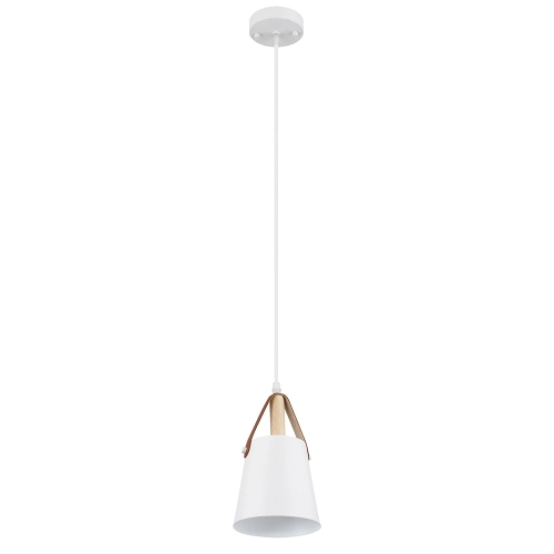 Купить Подвесной светильник Arte Lamp THOMAS A7032SP-1WH