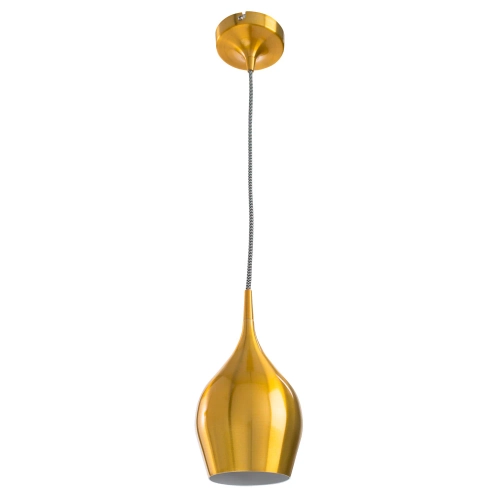 Купить Подвесной светильник Arte Lamp VIBRANT A6412SP-1GO