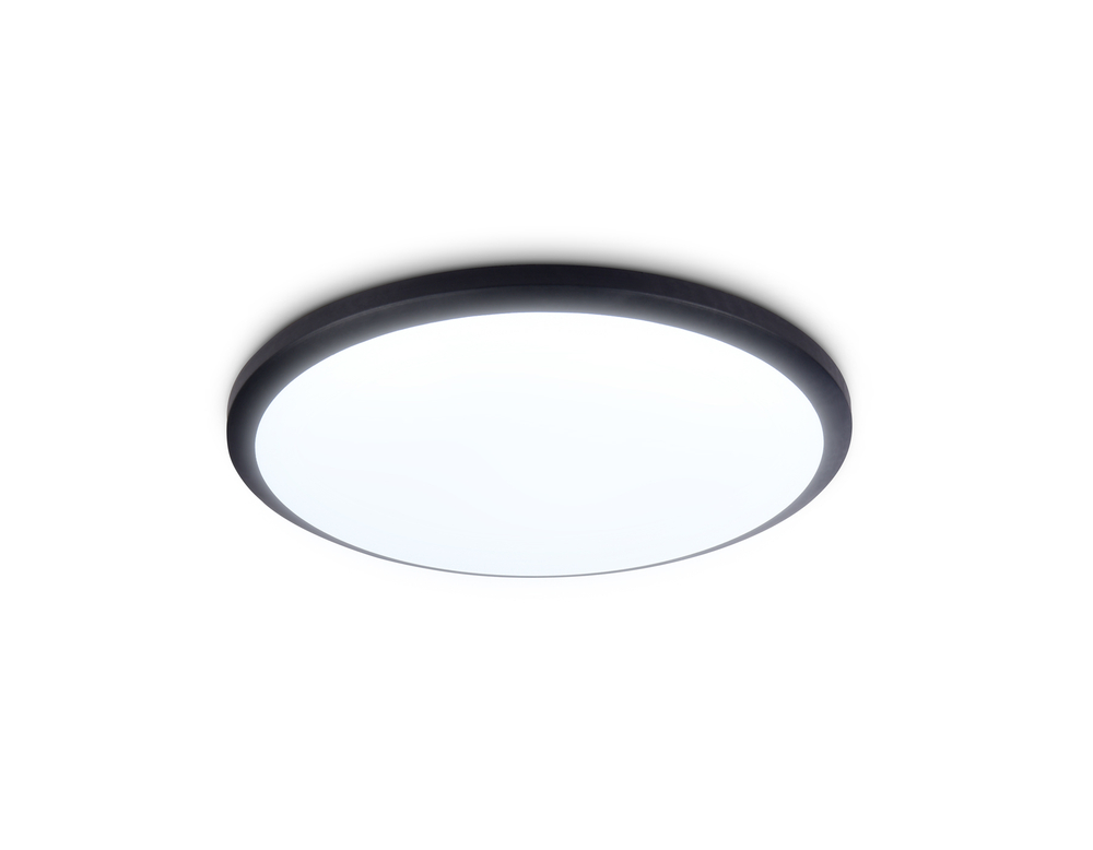 FZ1233 BK черный IP44 22W 6400К D260*55 (Без ПДУ)