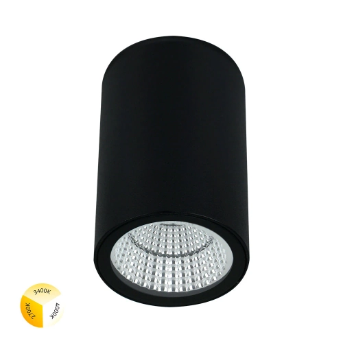 Купить Уличный потолочный светильник Arte Lamp TORCULAR A1307PF-1BK