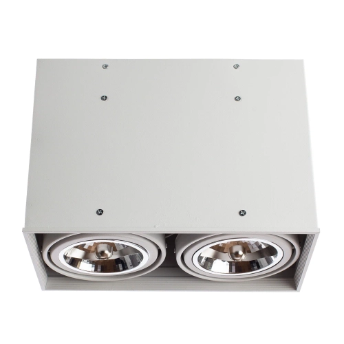 Купить Точечный накладной светильник Arte Lamp CARDANI GRANDE A5936PL-2WH