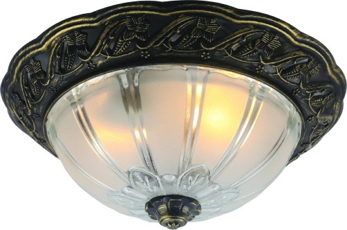 Купить Потолочный светильник Arte Lamp PIATTI A8003PL-2AB