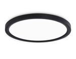 FZ1908 BK черный IP54 35W 3000K-6500K CCT-переключатель D450*25 (Без ПДУ)