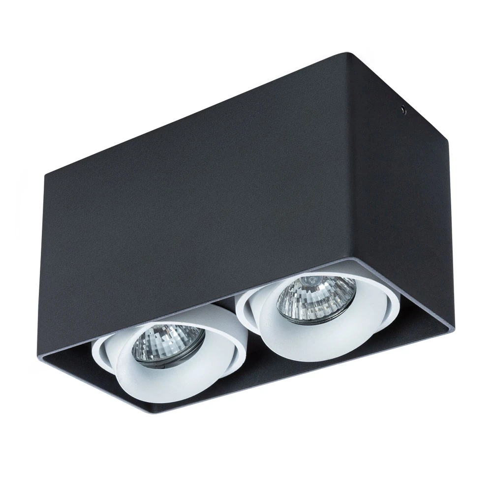 Точечный накладной светильник Arte Lamp PICTOR A5654PL-2BK