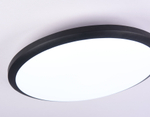 FZ1234 BK черный IP44 42W 6400К D370*55 (Без ПДУ)