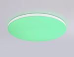 FZ2001 WH белый IP54 20W 3000K-6500K+RGB Wi-Fi Алиса/Tuya/Smart Home/Alexa D300*55 (ПДУ ИК)