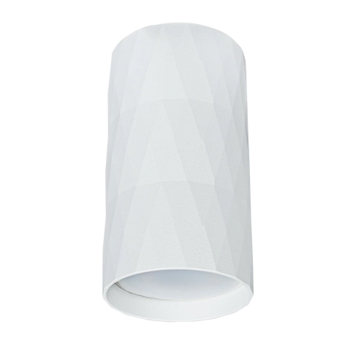 Купить Точечный накладной светильник Arte Lamp FANG A5557PL-1WH