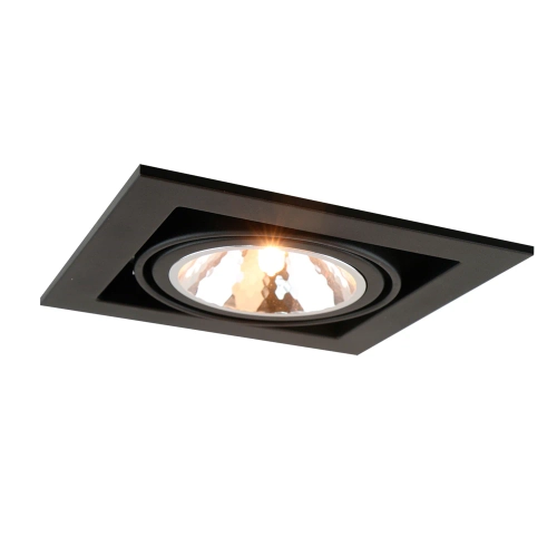 Купить Карданный светильник Arte Lamp CARDANI SEMPLICE A5949PL-1BK
