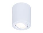 TN225 WH белый GU5.3 D80*100