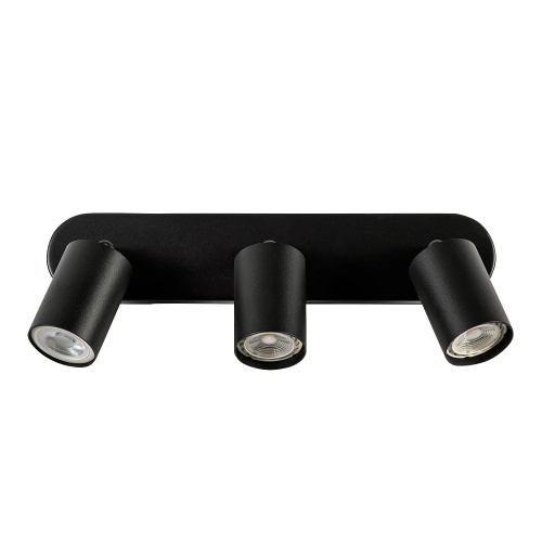 Купить Спот Arte Lamp AQUARIUS A3226PL-3BK