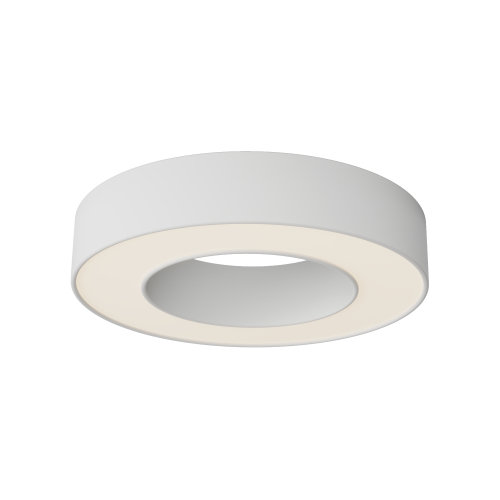 Купить Потолочный светильник Technical C093CL-24W3K-W