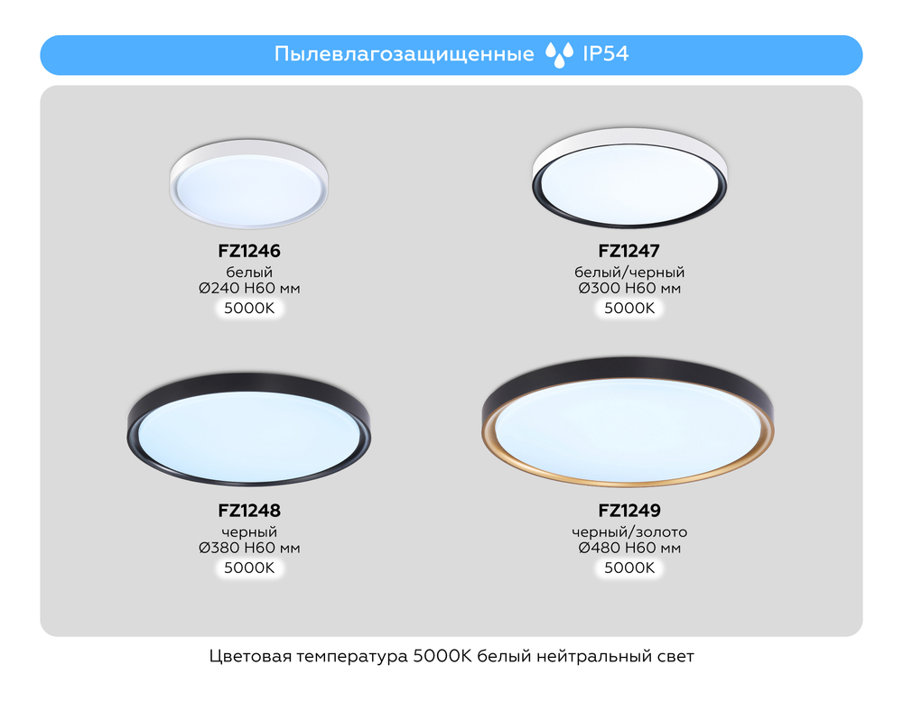 FZ1246 WH белый IP54 12W 5000K D240*60 (Без ПДУ)