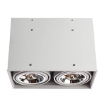 Точечный накладной светильник Arte Lamp CARDANI GRANDE A5936PL-2WH