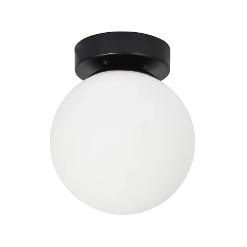 Купить Настенно-потолочный светильник Arte Lamp ALCOR A2224PL-1BK