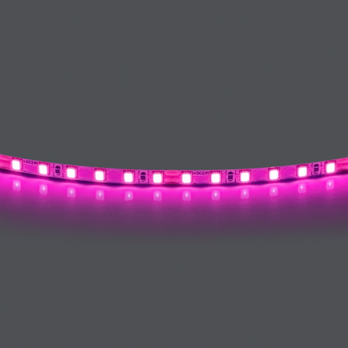 Купить 420512 Лента LIGHTSTAR LED 24V 12W 120leds/M 1600 LM/M розовый IP20 1шт = 5м