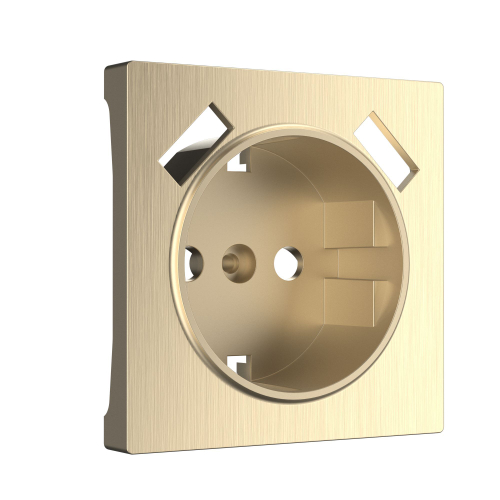 Купить Накладка  для розетки USB (шампань рифленый) W1179510