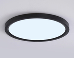 FZ1908 BK черный IP54 35W 3000K-6500K CCT-переключатель D450*25 (Без ПДУ)