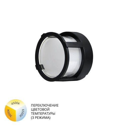 Купить Уличный потолочный светильник Arte Lamp ULYSSES A6206PF-1BK