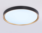 FZ1249 BK/GD черный/золото IP54 45W 5000K D480*60 (Без ПДУ)
