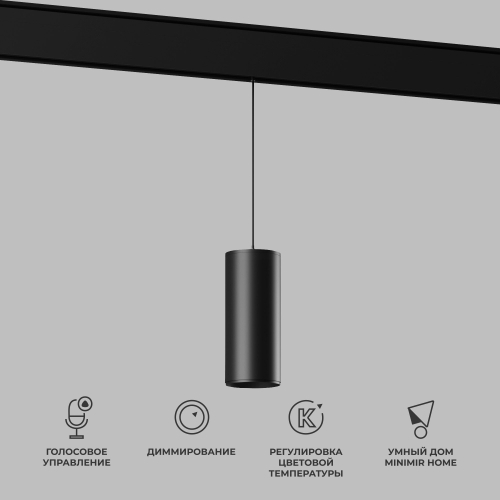 Купить Умный трековый светильник 15W 2700-6500K Dim Amend чёрный Slim Magnetic 85073/01
