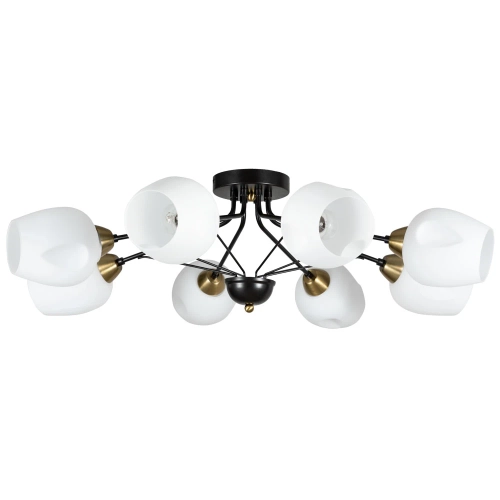 Купить Потолочная люстра Arte Lamp BRIGHTON A2706PL-8CK