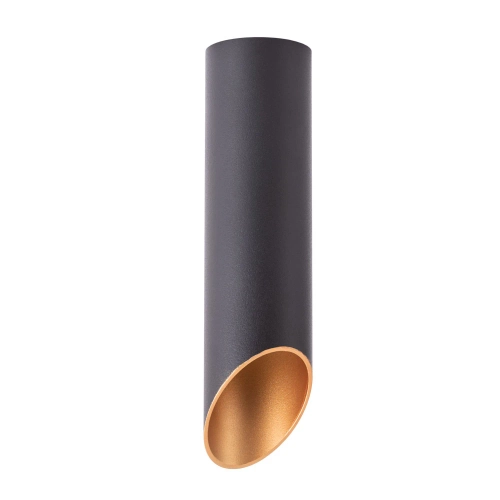 Купить Точечный накладной светильник Arte Lamp PILON-GOLD A1535PL-1BK