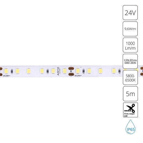 Купить Светодиодная лента 24V 9,6W/m 6000К 5м Arte Lamp AQUA TAPE A2412008-06-6K