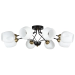 Потолочная люстра Arte Lamp BRIGHTON A2706PL-8CK