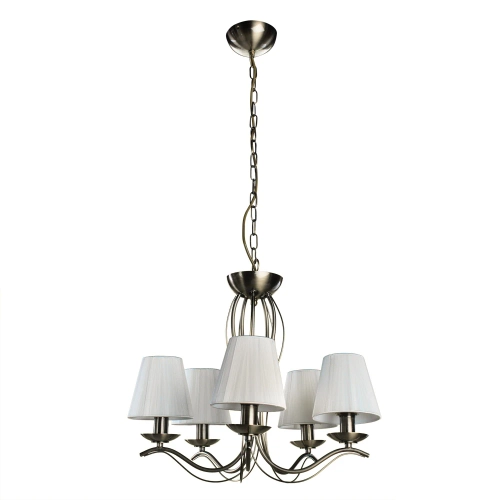 Купить Подвесная люстра Arte Lamp DOMAIN A9521LM-5AB