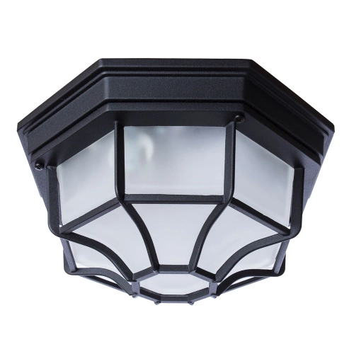Купить Уличный потолочный светильник Arte Lamp PEGASUS A3100PL-1BK