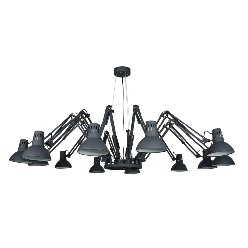 Купить Подвесная люстра Arte Lamp RAGNO A2043SP-12BK