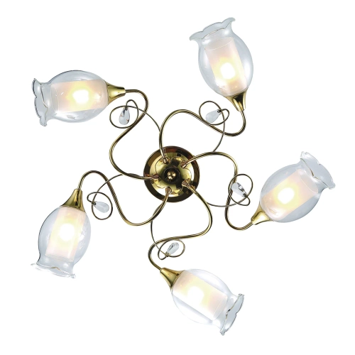 Купить Потолочная люстра Arte Lamp MUGHETTO A9289PL-5GO