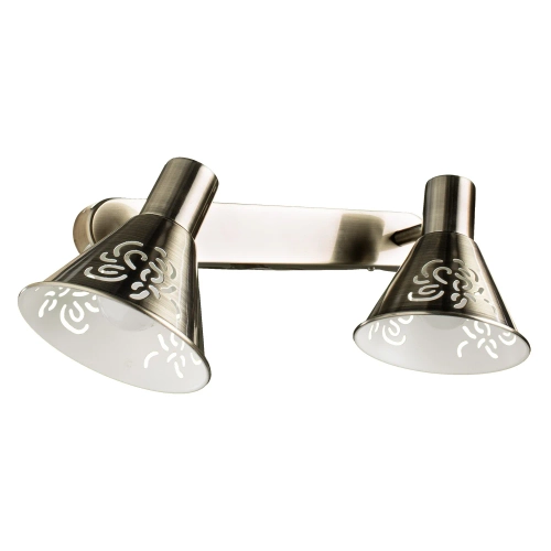 Купить Спот Arte Lamp CONO A5218AP-2AB