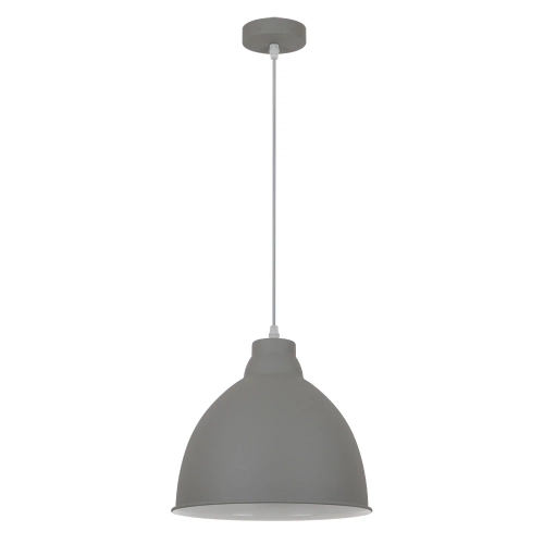 Купить Подвесной светильник Arte Lamp BRACCIO A2055SP-1GY