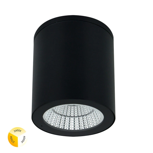 Купить Уличный потолочный светильник Arte Lamp TORCULAR A1313PF-1BK