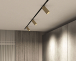 DK8020-BG Акцентный светильник SMART SPOT 20W DIM 3000K-6000K, матовое золото с черным