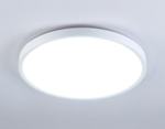 FZ3001 WH белый IP44 24W+10W 6400+6400К D300*40 (Без ПДУ)