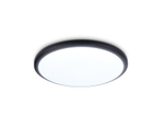 FZ1233 BK черный IP44 22W 6400К D260*55 (Без ПДУ)