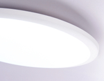 FZ1232 WH белый IP44 48W 6400К D450*55 (Без ПДУ)