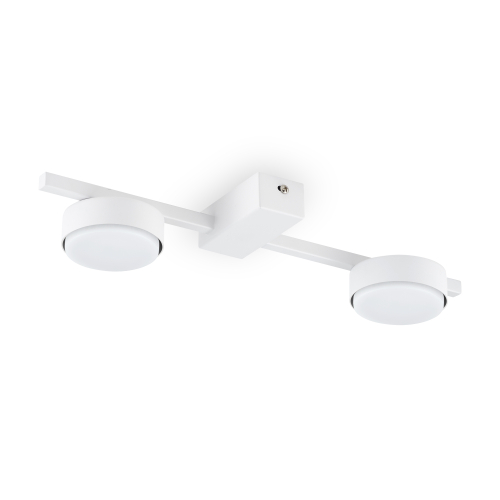 Купить Потолочный светильник Freya FR5363CL-02W