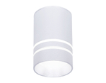 TN236 SL/S серебро/песок LED 4200K 5W D60*100