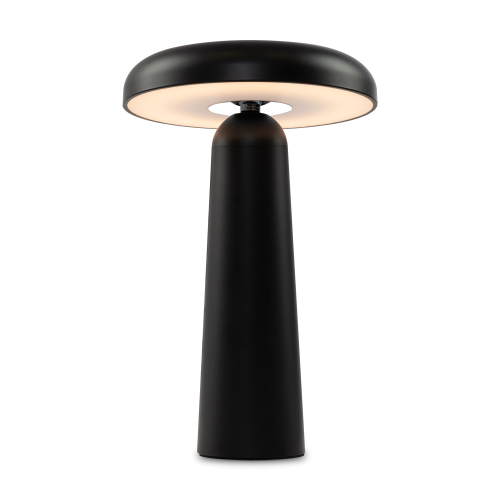 Купить Аккумуляторный светильник Freya FR6109TL-L4B