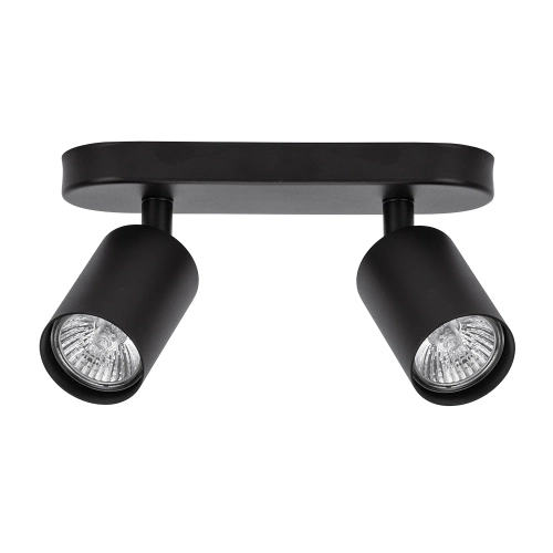 Купить Спот Arte Lamp AQUARIUS A3226PL-2BK