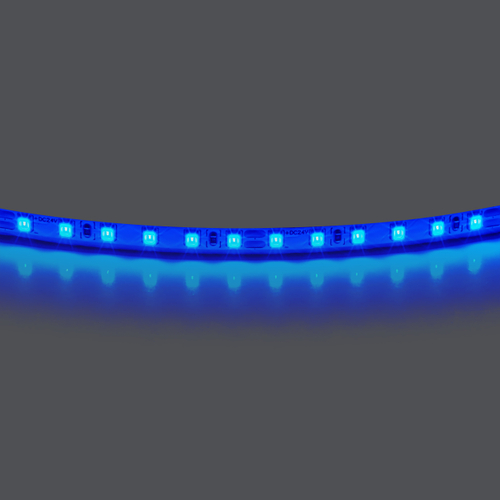 Купить 420515 Лента LIGHTSTAR LED 24V 12W 120leds/M 1600 LM/M синий IP20 1шт = 5м