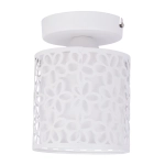 Потолочный светильник Arte Lamp TRAFORATO A8349PL-1WH