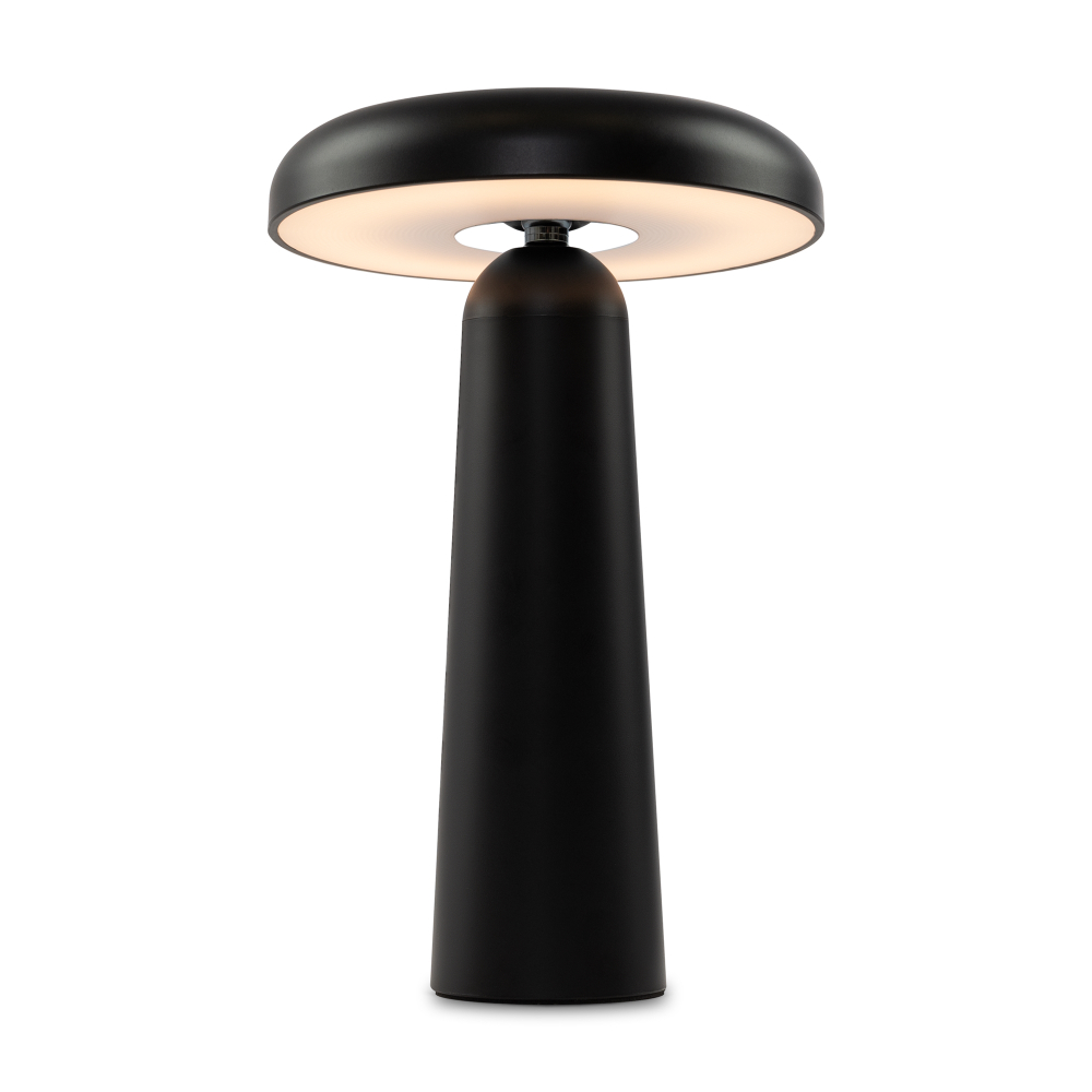 Аккумуляторный светильник Freya FR6109TL-L4B