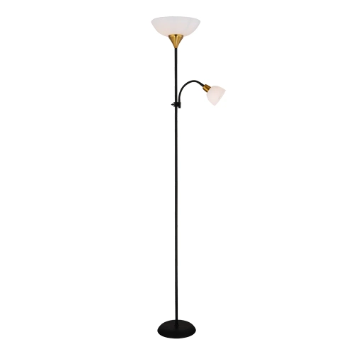 Купить Торшер Arte Lamp DUETTO A9569PN-2BK