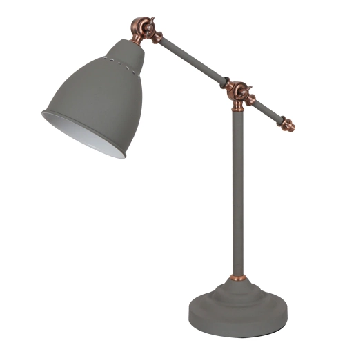 Купить Декоративная настольная лампа Arte Lamp BRACCIO A2054LT-1GY