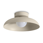Потолочный светильник Freya FR5602CL-L10W